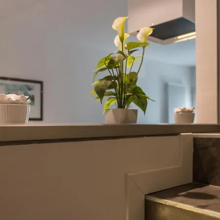 Modern Treviso
